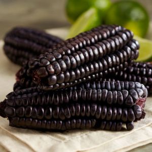 purple corn